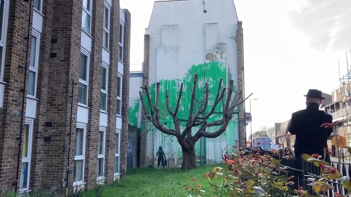 Zelený strom. Banksy se přihlásil k autorství nového díla v severním Londýně